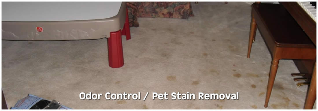 Montello Odor Control and Pet Stain Removal Services